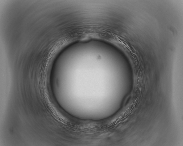 X0000112050049200908111359