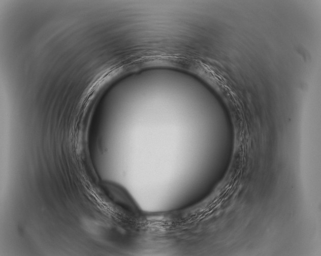 X0000112050050200908111359