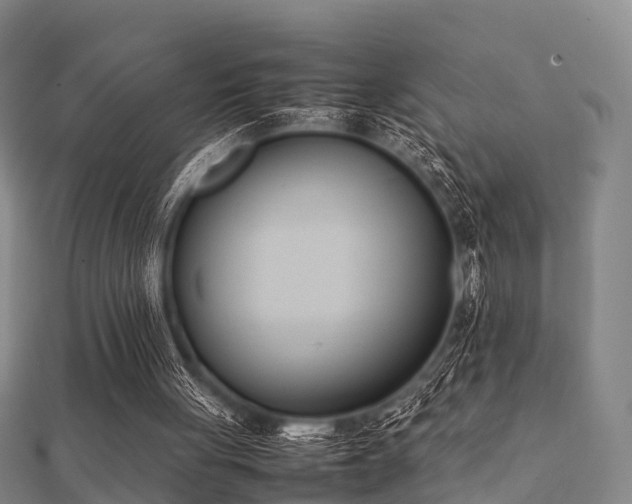 X0000112050051200908111359