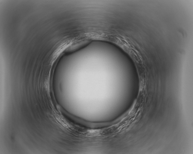 X0000112050052200908111359