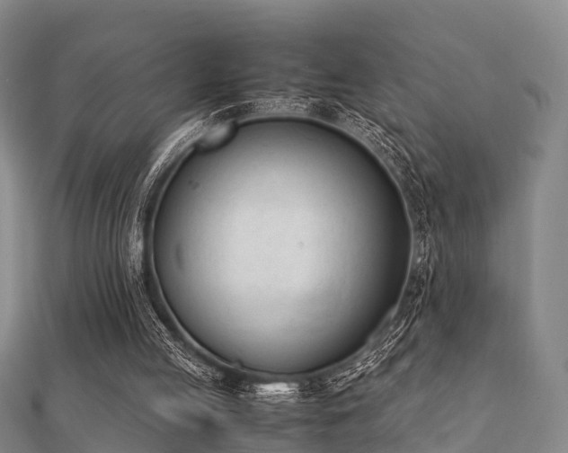 X0000112050053200908111359