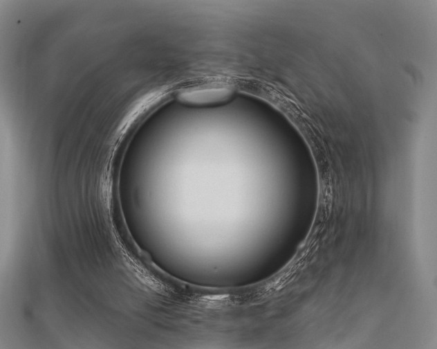 X0000112050054200908111359