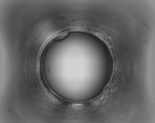 X0000112050055200908111359