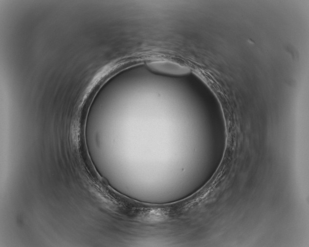 X0000112050056200908111359