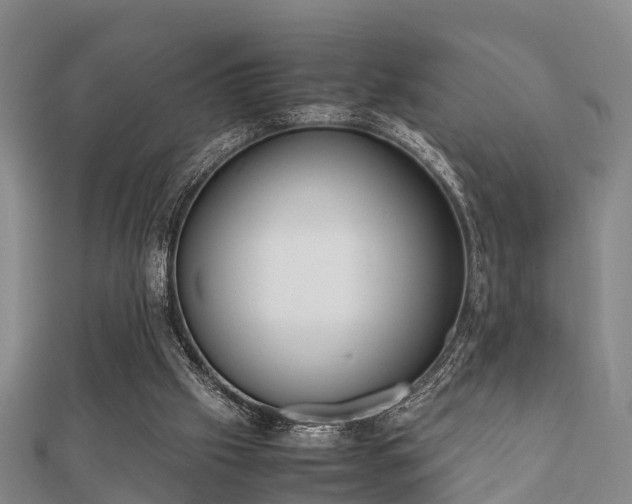 X0000112050057200908111359