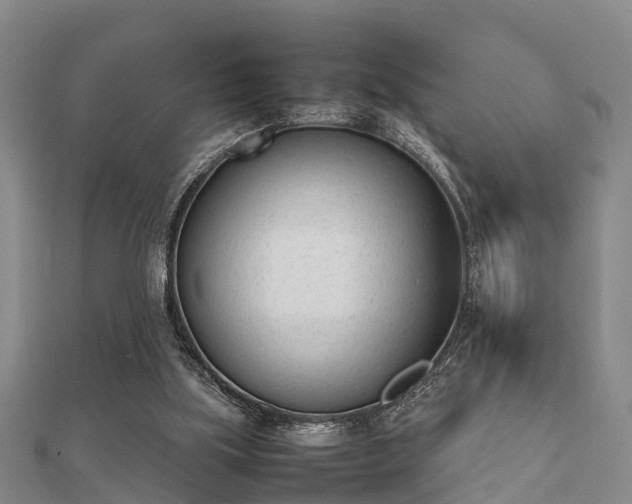 X0000112050059200908111359