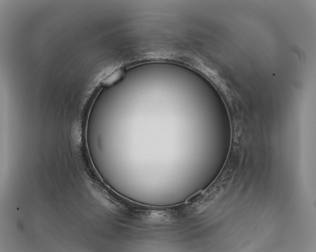 X0000112050060200908111359