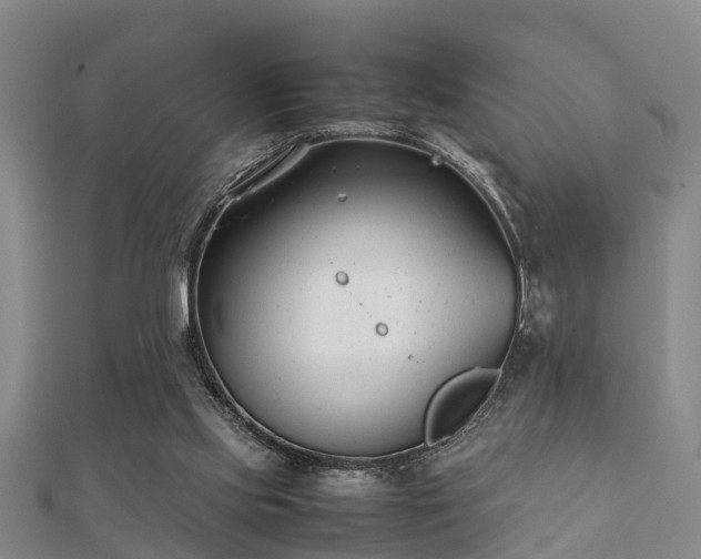 X0000112050061200908111359