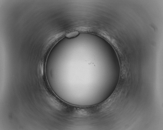 X0000112050062200908111359