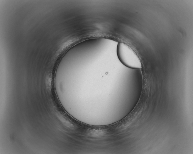 X0000112050063200908111359