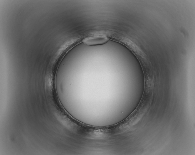 X0000112050064200908111359