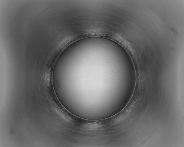 X0000112050065200908111359