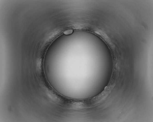 X0000112050066200908111359