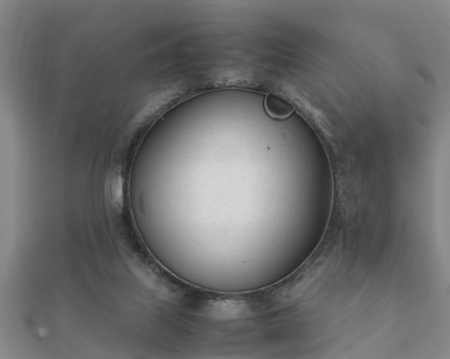 X0000112050067200908111359