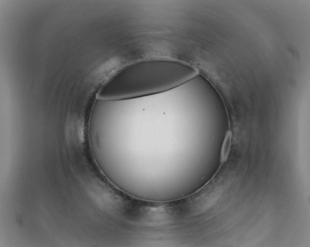 X0000112050068200908111359