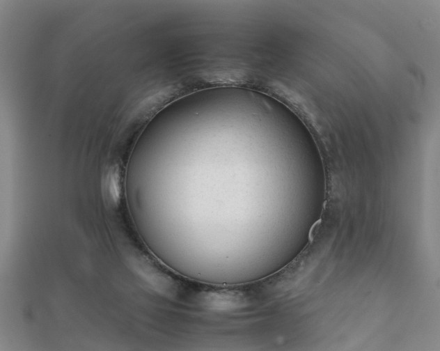 X0000112050069200908111359