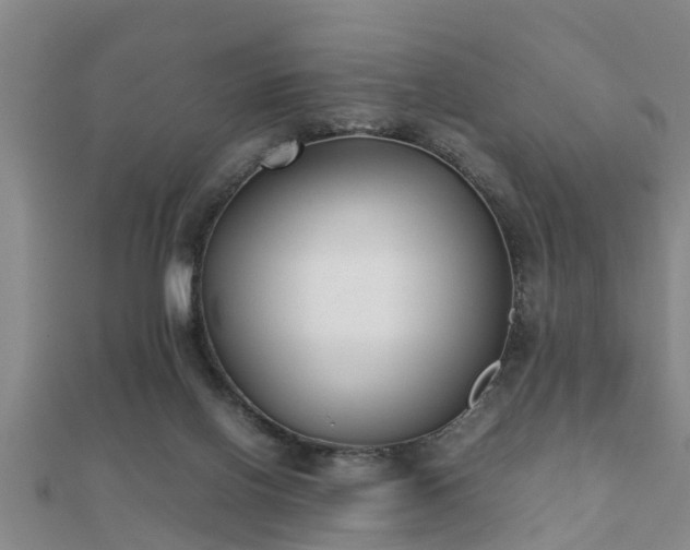 X0000112050070200908111359