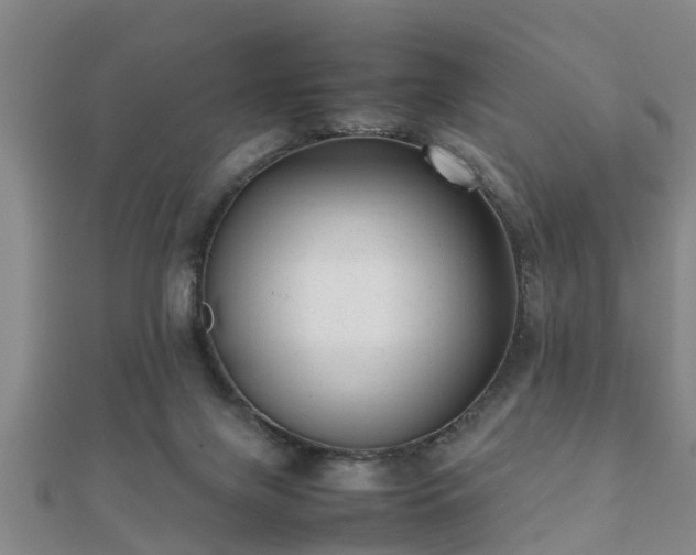 X0000112050071200908111359