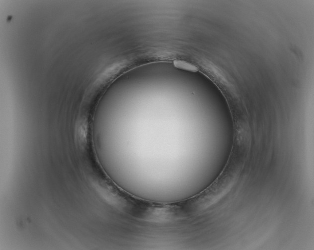 X0000112050072200908111359