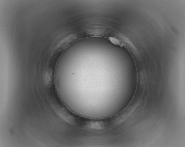 X0000112050073200908111359