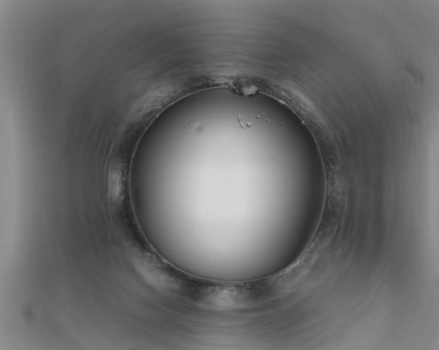 X0000112050074200908111359