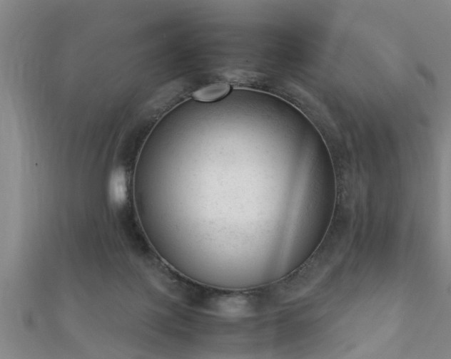 X0000112050075200908111359