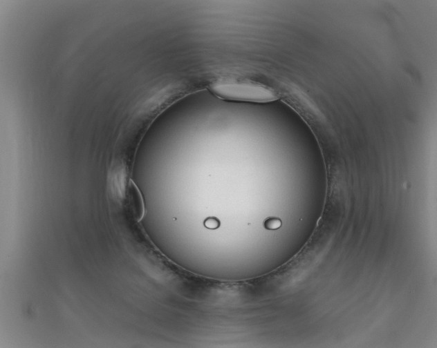 X0000112050076200908111359