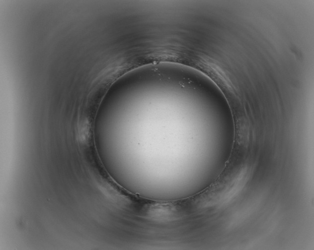 X0000112050077200908111359