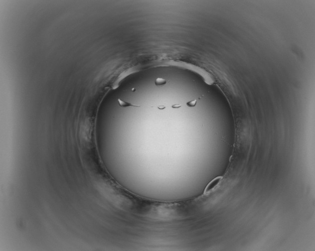 X0000112050078200908111359