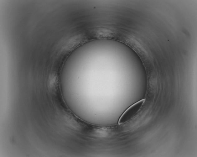 X0000112050079200908111359