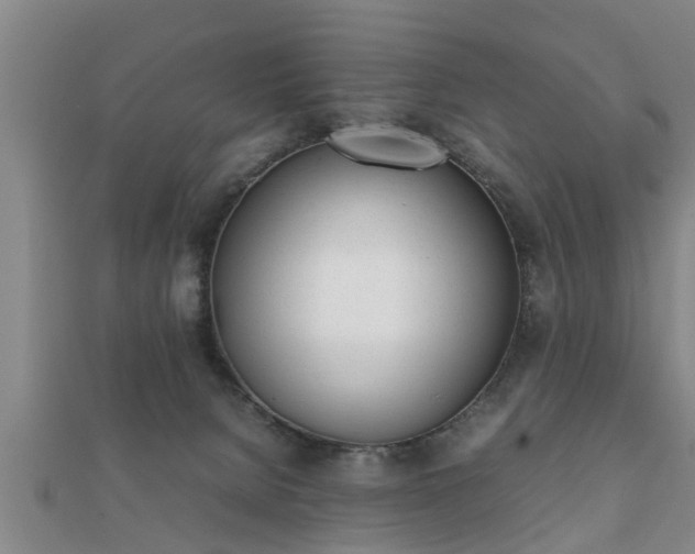 X0000112050080200908111359