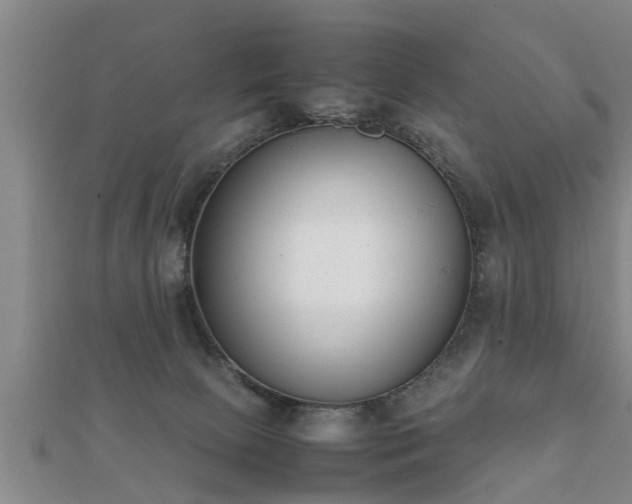 X0000112050081200908111359