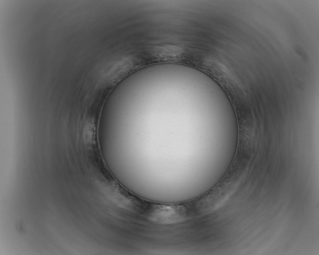 X0000112050083200908111359