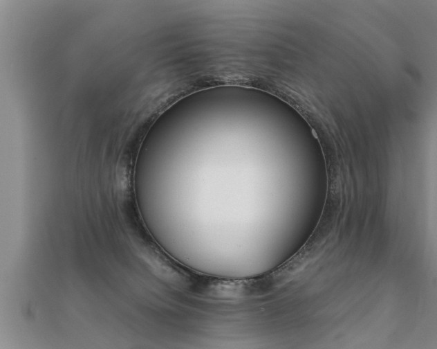 X0000112050084200908111359