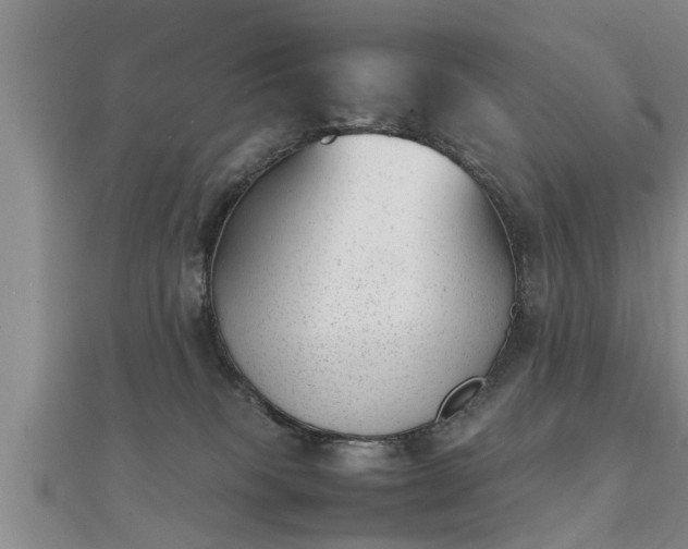 X0000112050085200908111359