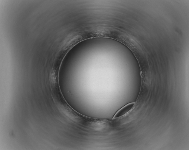 X0000112050086200908111359