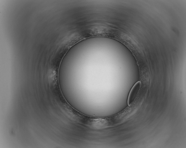 X0000112050087200908111359