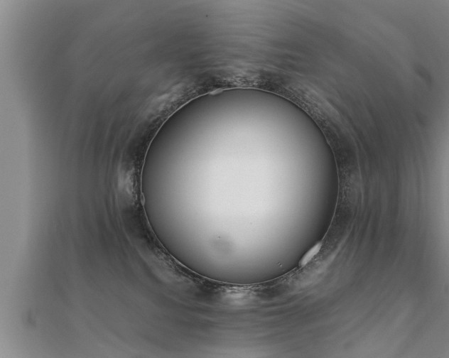 X0000112050088200908111359