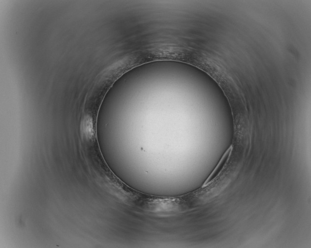 X0000112050089200908111359