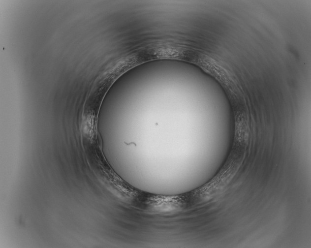 X0000112050093200908111400