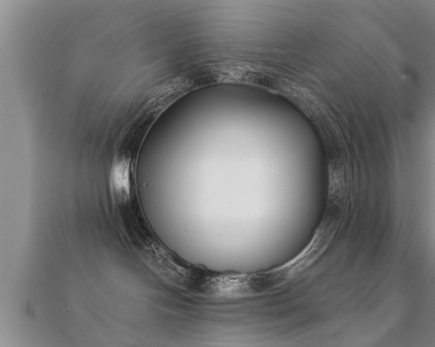 X0000112050094200908111400