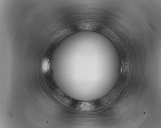 X0000112050095200908111400