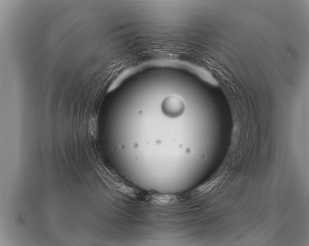 X0000112050096200908111400