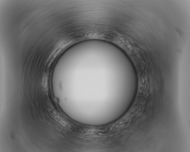 X0000112050098200908111359