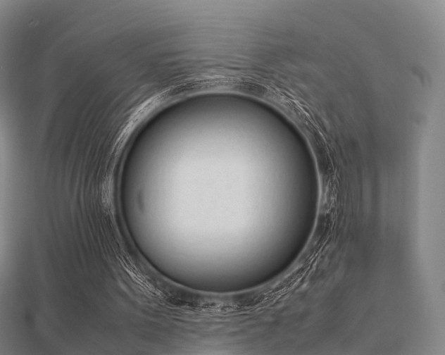 X0000112050099200908111359