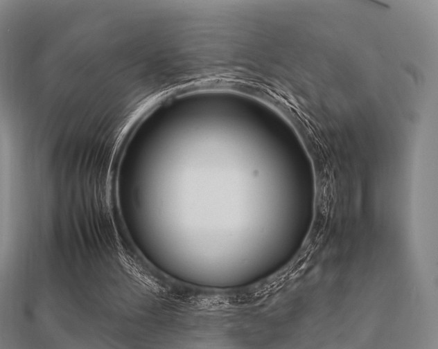 X0000112050100200908111359