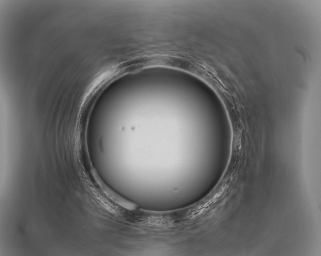 X0000112050101200908111359