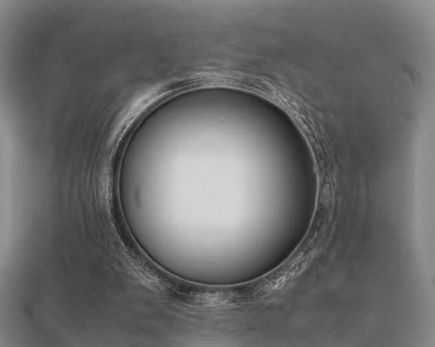 X0000112050103200908111359