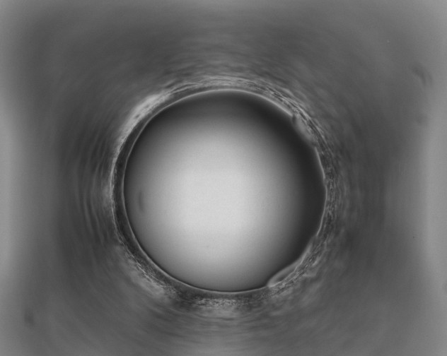 X0000112050104200908111359