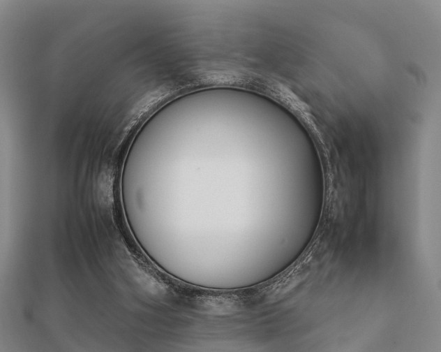 X0000112050106200908111359